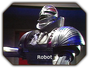 Robot